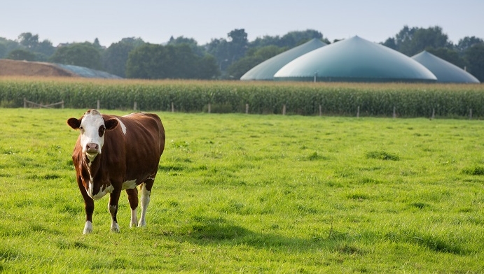 Researchers claim that turning waste into gas could be an effective form of waste management as well as creating energy